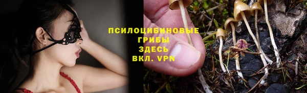 спиды Заволжье