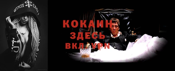 мдпв Заводоуковск