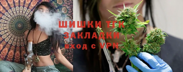 мдпв Заводоуковск