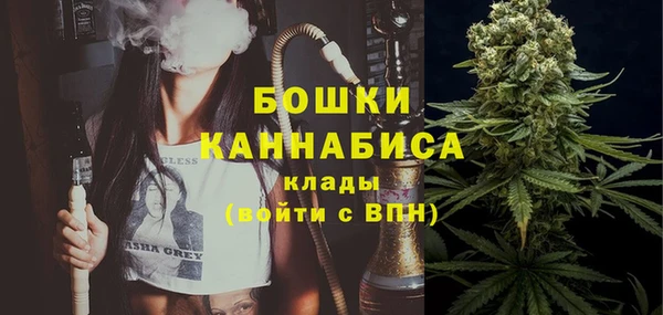 мдпв Заводоуковск