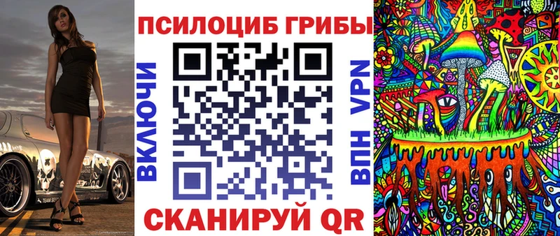 MEGA сайт  Терек  Псилоцибиновые грибы MAGIC MUSHROOMS 