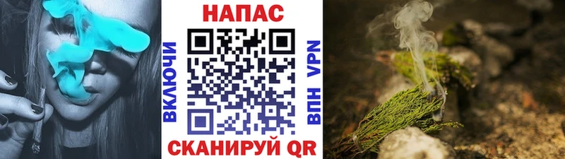 маркетплейс как зайти Терек Шишки марихуана конопля купить сайты
